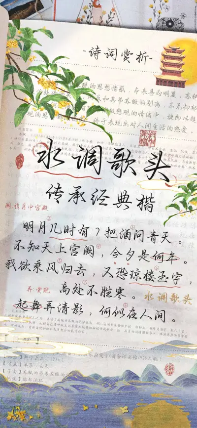 水调歌头传承经典楷 - Screenshot 1