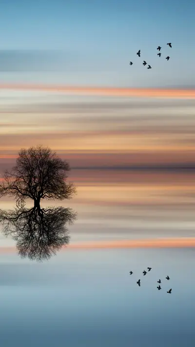 落日余晖-拍信图库 - Screenshot 1