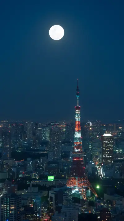 现代都市-拍信图库