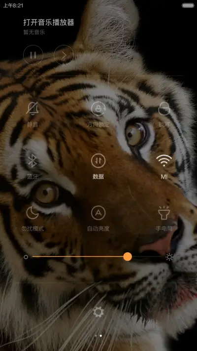 无敌猛虎 - Screenshot 5