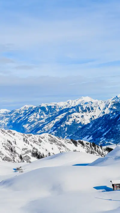 自然风光-拍信图库 - Screenshot 1