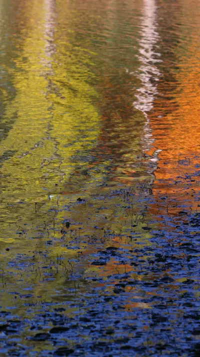 印象派大成者 莫奈