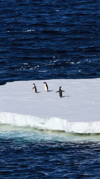 南极-【视觉中国】 