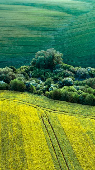 绿野千里-拍信图库