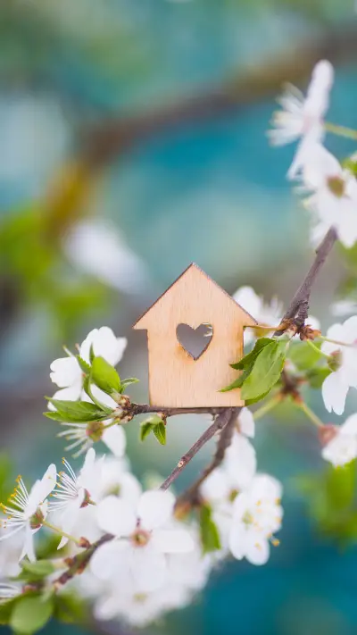 春日风光-拍信图库