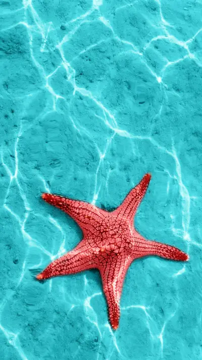 海底世界-拍信图库