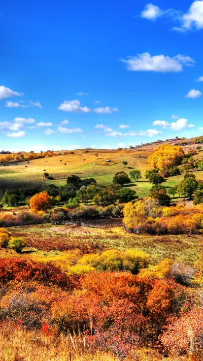 乌兰布统草原的金秋