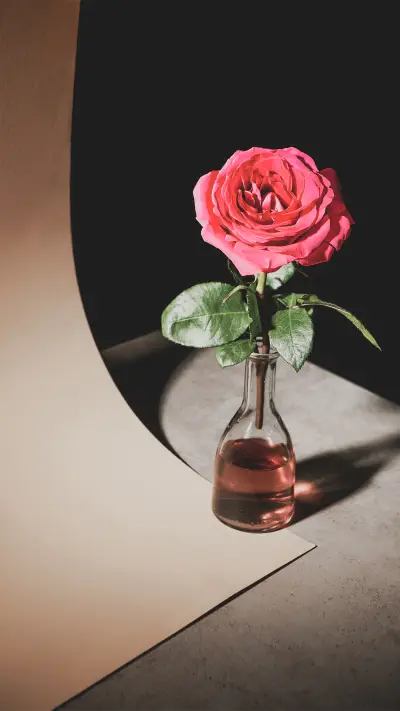 美丽花朵-拍信图库