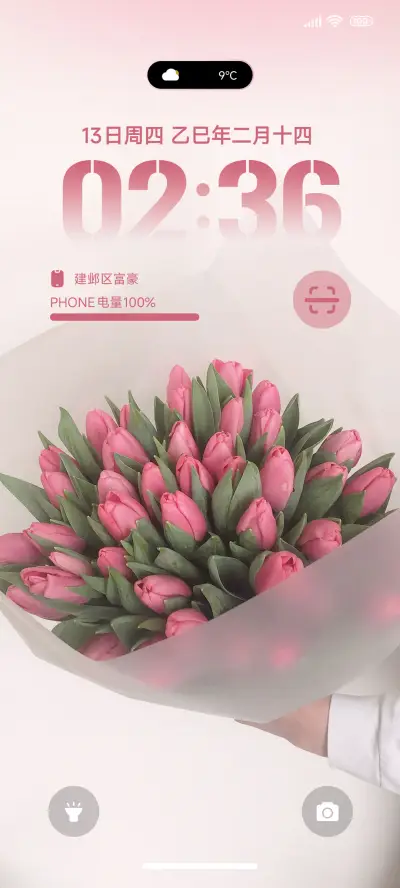 简约粉色郁金香 - Screenshot 1