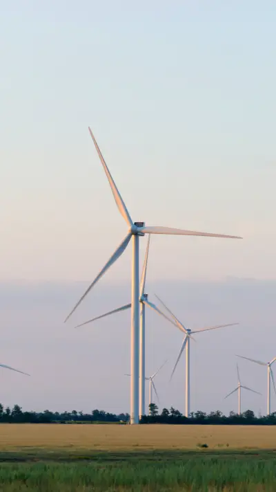 浪漫风车-拍信图库