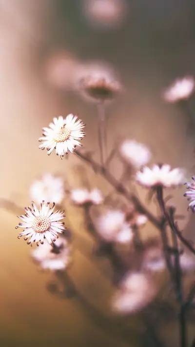 珍惜美好的人生 - Screenshot 1