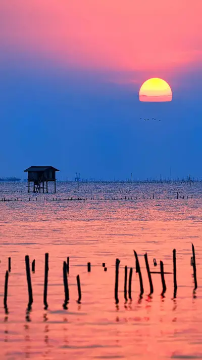 去马尔代夫吧-拍信图库