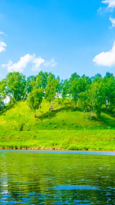 绿树蓝天-拍信图库 - Screenshot 1