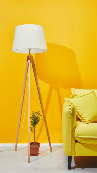 色彩家居-拍信图库